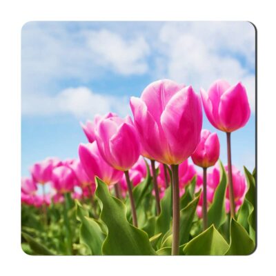 مگنت یخچالی گالری باجو طرح گل کد flower 56