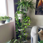 استند گلدان مدل ایستا