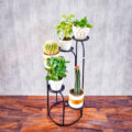 استند گلدان دکومرآت مدل پیچان چپگرد