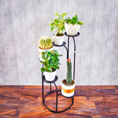 استند گلدان دکومرآت مدل پیچان چپگرد