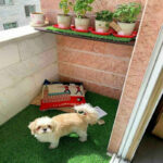 چمن مصنوعی مدل بهاری Europe-S35 سایز 1.32×2 متر