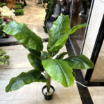 درختچه مصنوعی مدل موز