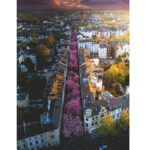 پازل 1500 تکه راونزبرگر مدل Blossoming Bonn Germany کد 17104