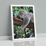 تابلو مدل دیواری طرح کوالا کد EA-1177