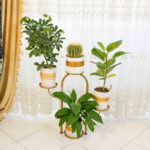 استند گلدان دکومرآت مدل کاکتوس 4