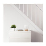 گلدان به همراه گیاه مصنوعی ایکیا مدل 751