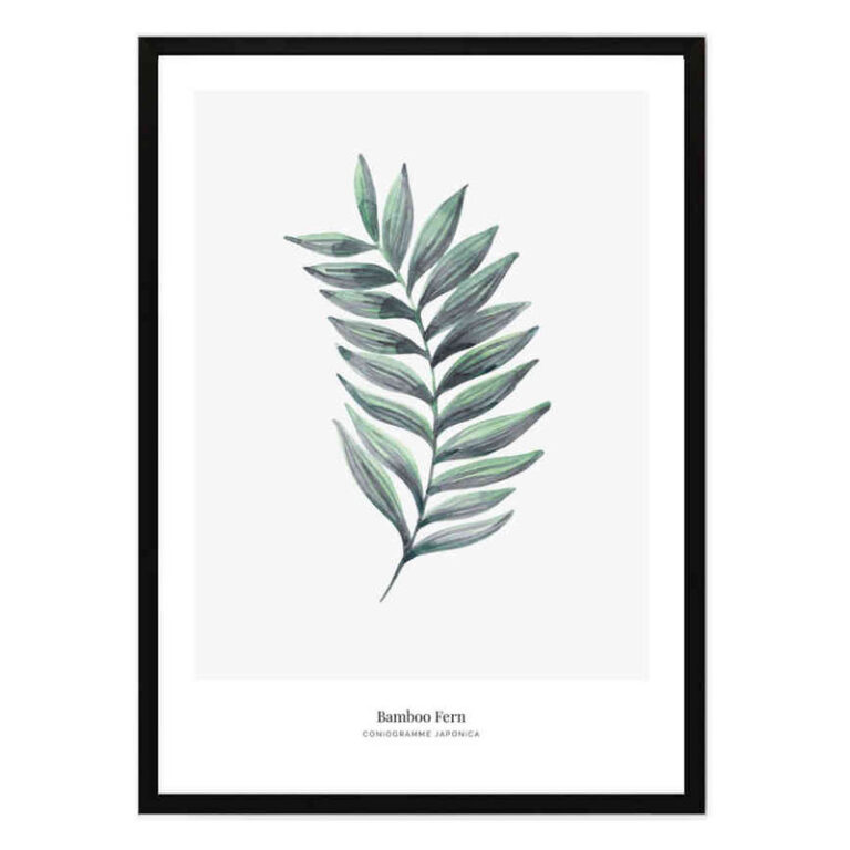 تابلو مدل Bamboo کد 2489011048