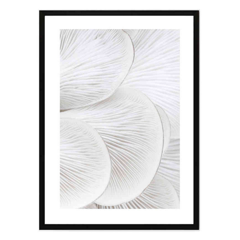 32f356852416f69c1b260a0d17628442 تابلو مدل Oyster close up کد 248901967