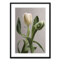 تابلو مدل Fresh tulips کد 248901992