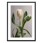 تابلو مدل Fresh tulips کد 248901992