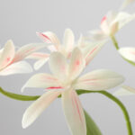 گلدان به همراه گل مصنوعی ایکیا مدل FEJKA کد 705.483.03