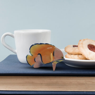 مجسمه چینی فرانز مدل ماهی مقلد FZ01448