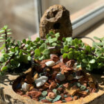 آب نما سنگدانه مدل AB553