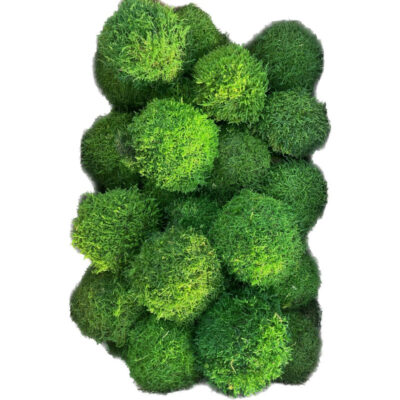 دیوارپوش مدل خزه شیت توپی