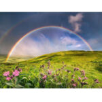 پازل 1500 تکه راونزبرگر مدل Spektakulärer Rainbows کد 12000800