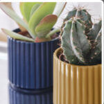 گلدان دکوری ایکیا مدل daksjus کد 7099 مجموعه 4 عددی