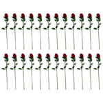 گل مصنوعی مدل رز طرح Feather Rose بسته 24 عددی