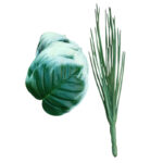 درختچه مصنوعی مدل پتوس 24 برگ