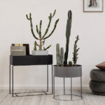 استند گلدان مدل پلنت باکس