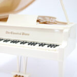 پیانو موزیکال مدل big304