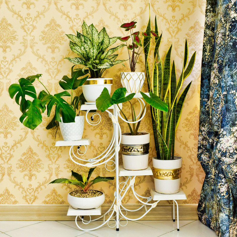 7cc7e3b581d954063dc9aadeefcb40cd استند گلدان دکومرآت مدل نگار