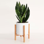 گلدان مدل C20