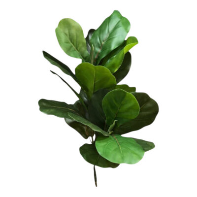 درختچه مصنوعی مدل فیکوس لیراتا طرح 2 بازو