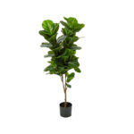 درختچه مصنوعی مدل فیکوس لیراتا طرح 2 بازو