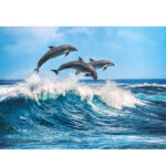پازل 500 تکه کلمنتونی مدل Dolphins کد 35055