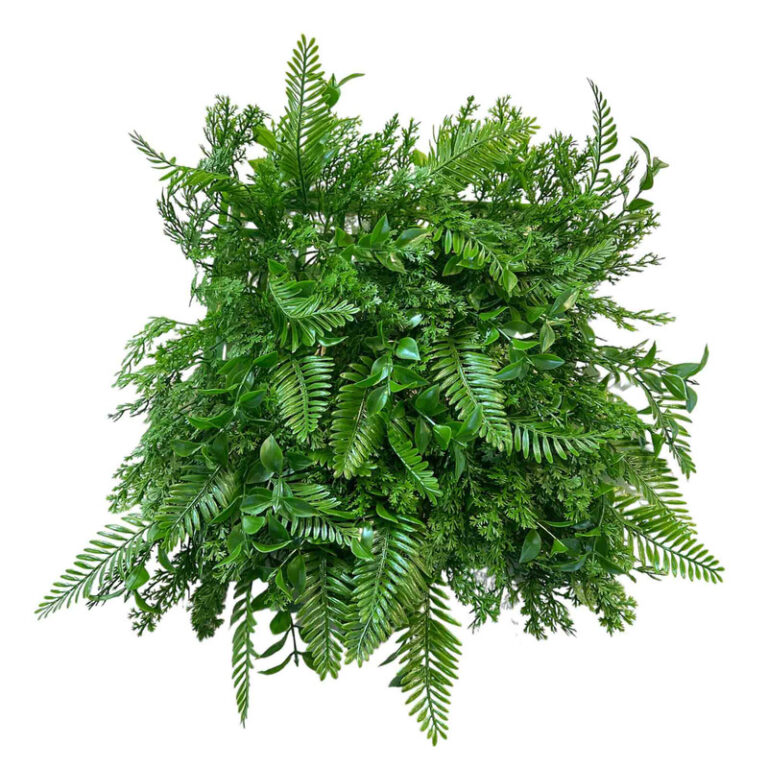 دیوار پوش مدل برگ گشنیز سیکات بسته 16 عددی