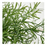 گلدان به همراه گل مصنوعی ایکیا کد 706