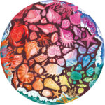 پازل 500 تکه راونزبرگر مدل Circle of Color Seashells کد 12000823
