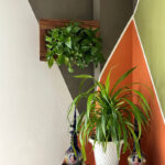 استند گلدان دیواری مدل گرین وال