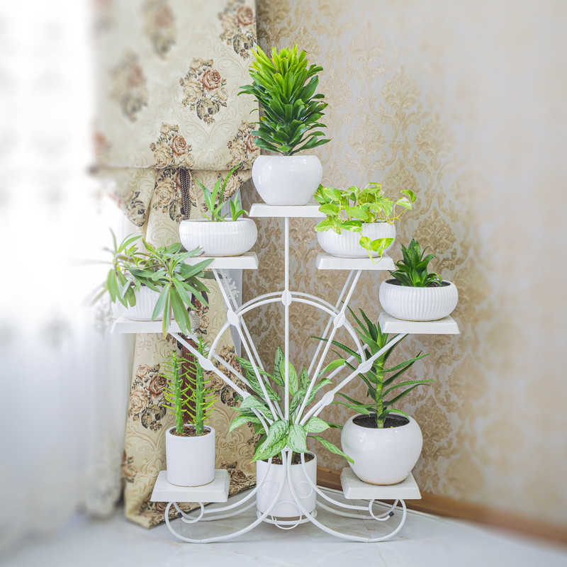 ad33697451bca0613d5e983c9cdbaa52 استند گلدان مدل دم طاووسی