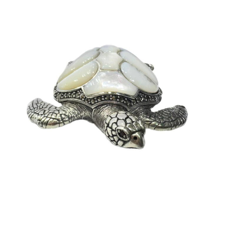 مجسمه مدل لاک پشت