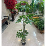 درختچه مصنوعی مدل پاچیرا