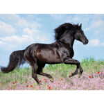 پازل 200 تکه راونزبرگر مدل Black Stallion