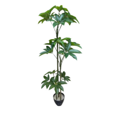 درختچه مصنوعی مدل پاچیرا