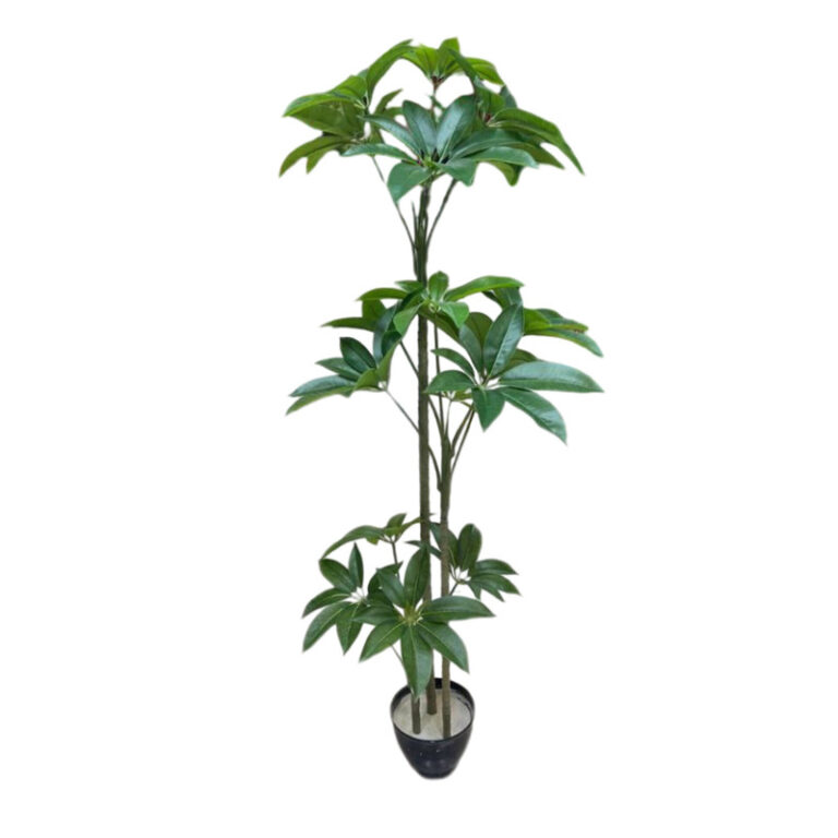 درختچه مصنوعی مدل پاچیرا