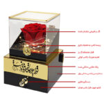گل رز جاودان مدل گنجینه موزیکال طرح تو را چون جان خود میدانمت کد M01
