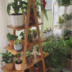 استند گلدان مدل MG1