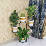 استند گلدان دکومرآت مدل کاکتوس 4