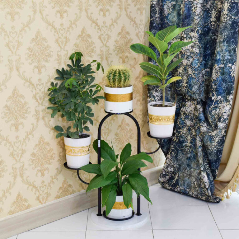 استند گلدان دکومرآت مدل کاکتوس 4