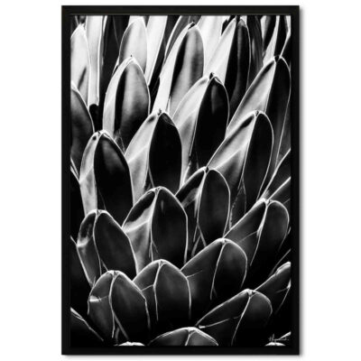 تابلو مدل victoria کد 248901265