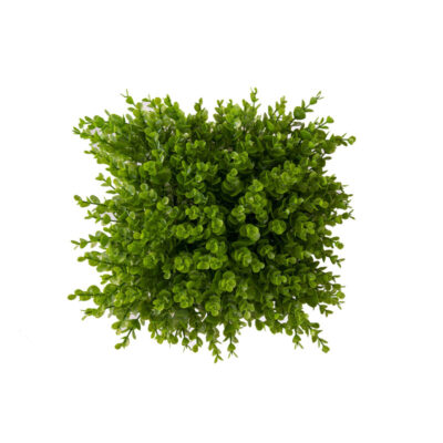 دیوارپوش مدل دیوارسبز نقش برجسته 25×25 سانتی متر بسته 8 عددی