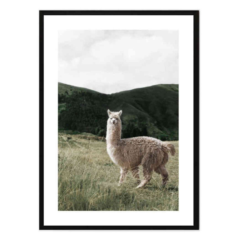 تابلو مدل Alpaca کد 248901880