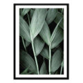 تابلو مدل Leaves کد 248901349