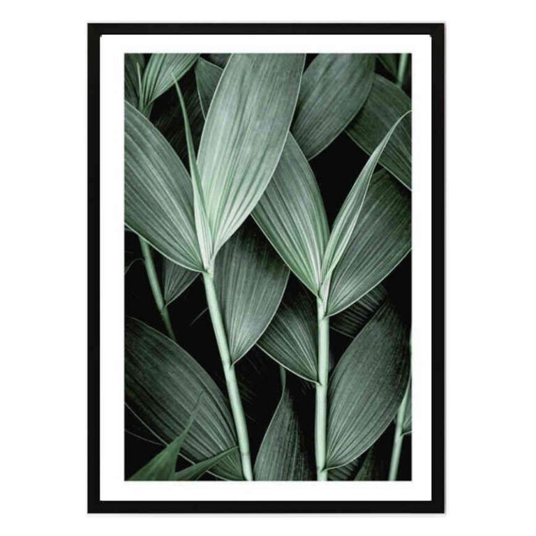 تابلو مدل Leaves کد 248901349