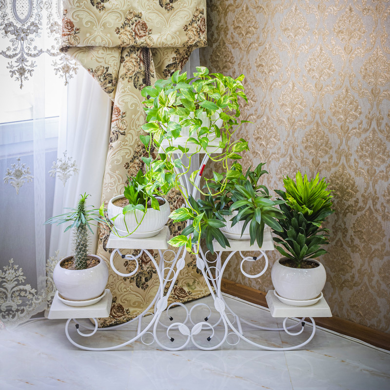 d71e5031c27ddc61656e665bf951046b استند گلدان مدل کوهسار