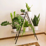 استند گلدان مدل ویو V12